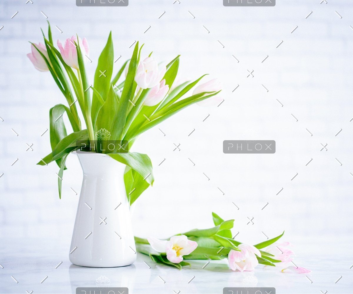 Rebranding and Identity demo attachment 783 brooke lark 210780@2x